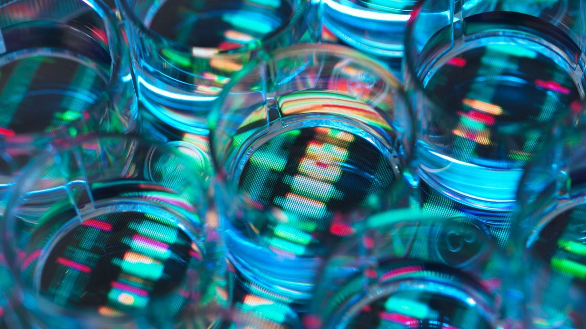 Peneliti OpenAI Miles Wang sedang dalam pembicaraan untuk meluncurkan startup penemuan obat AI senilai $2 miliar